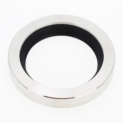 PTFE Lip Oil Seal